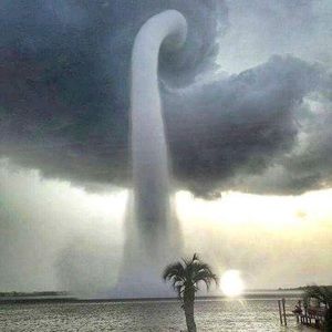 Meet your Posher, Jeannette